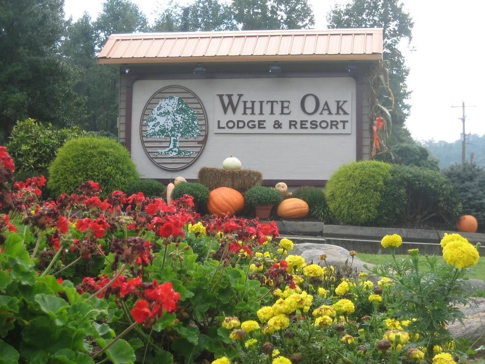 White Oak Lodge And Resort Pittman Center Bagian luar foto